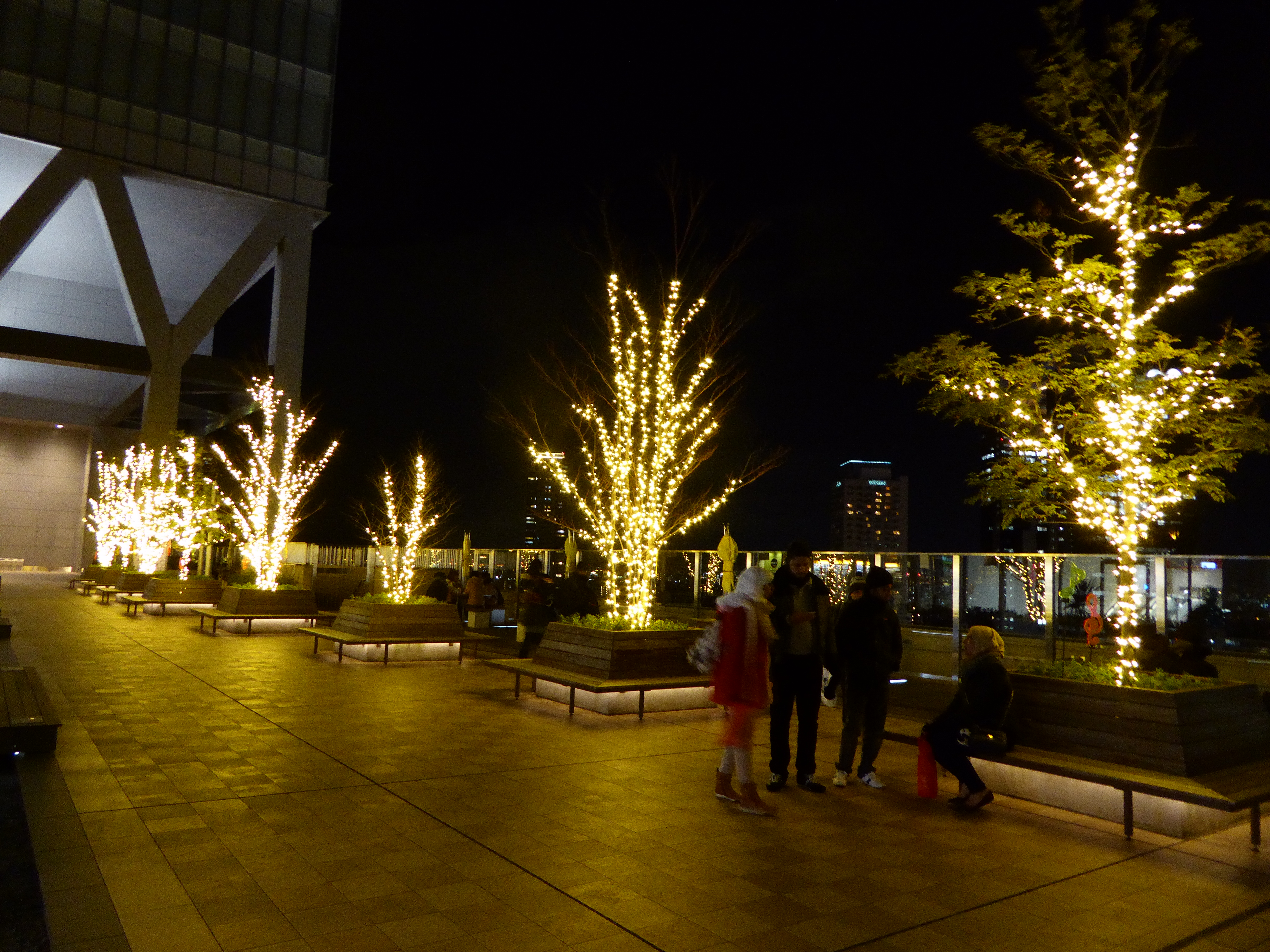 P1010513.JPG