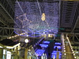 img0007.jpg