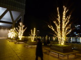 img0009.jpg