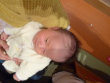 img0004.jpg