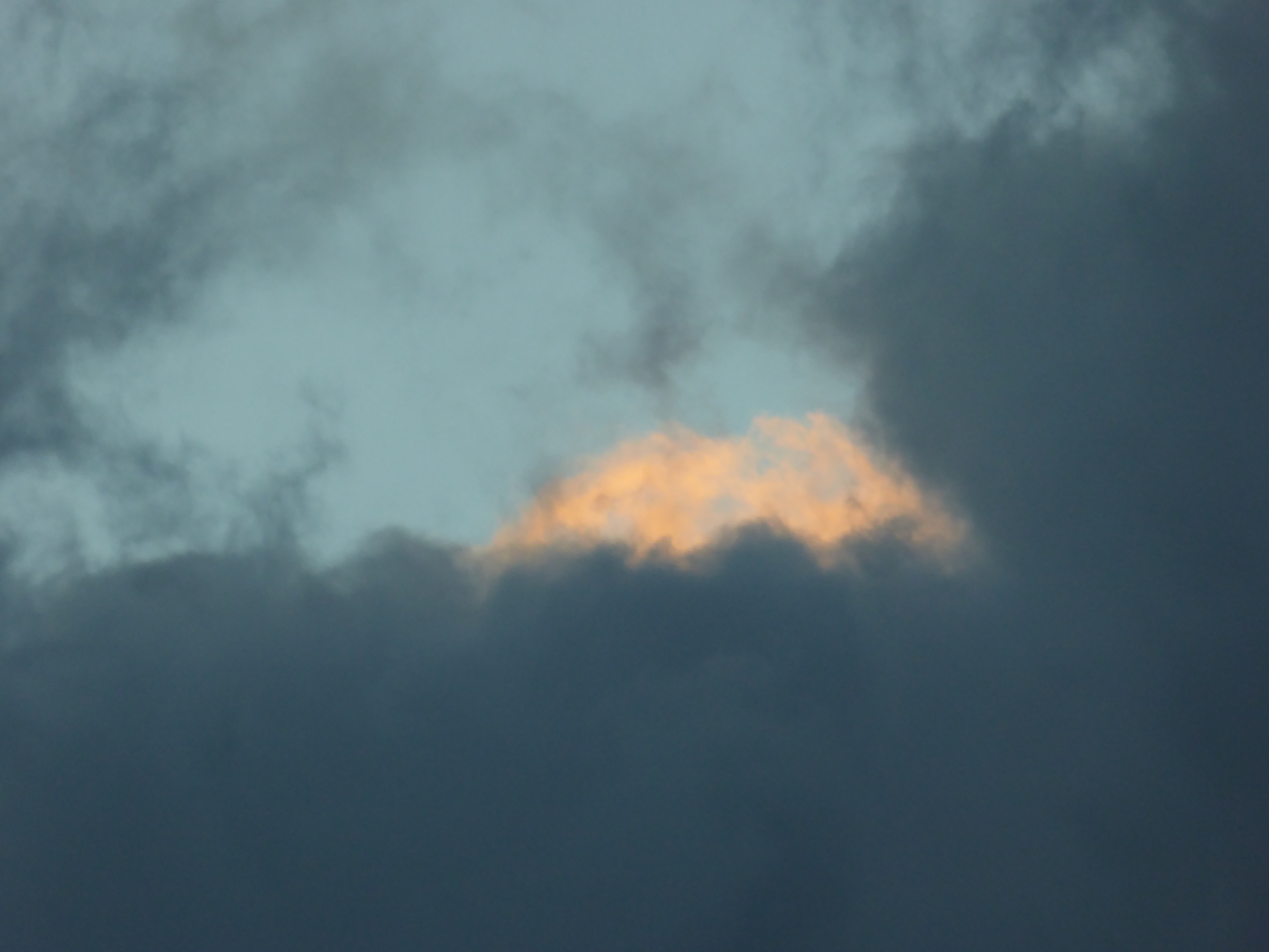 P1010535.JPG
