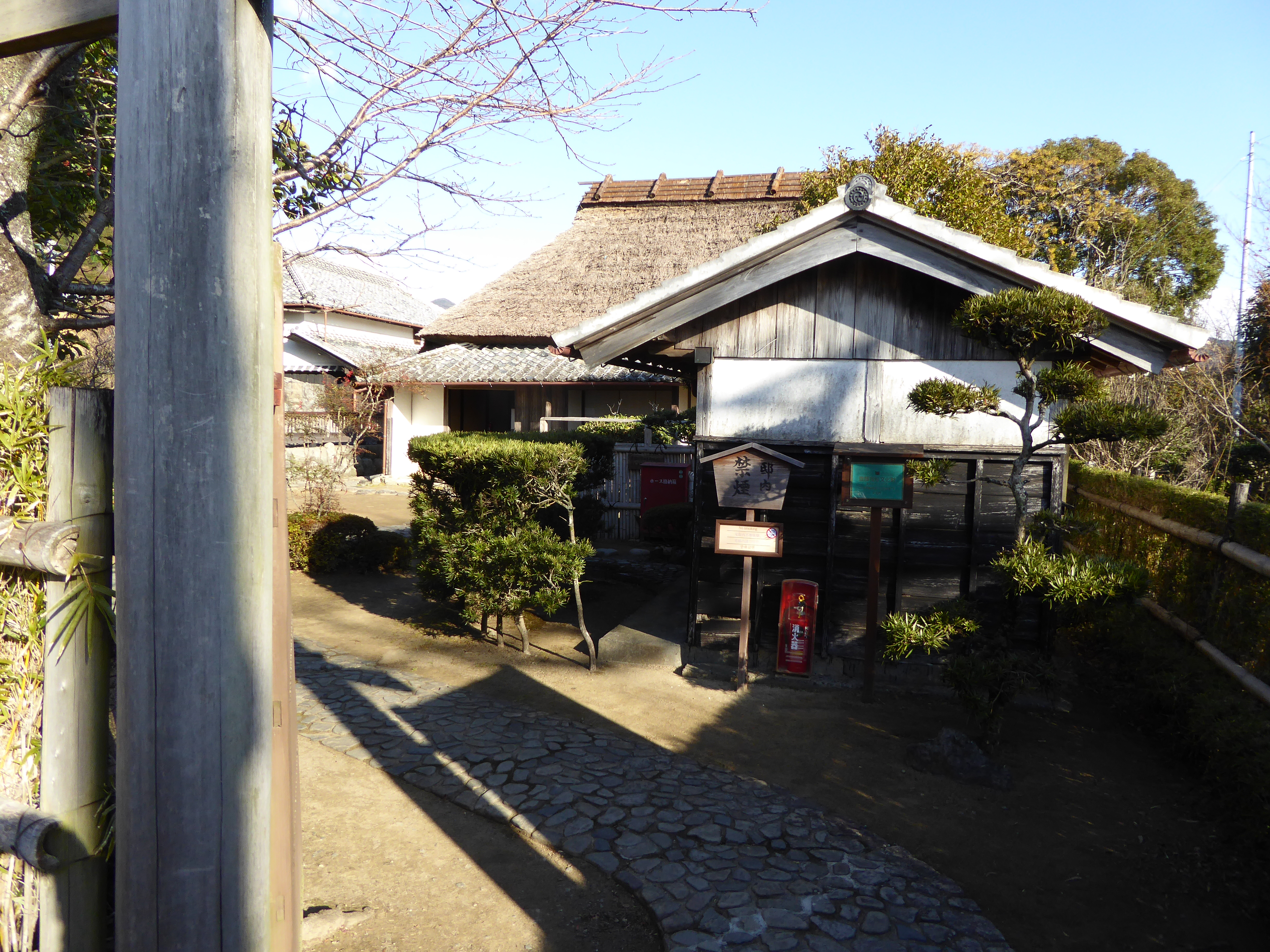 P1010563.JPG