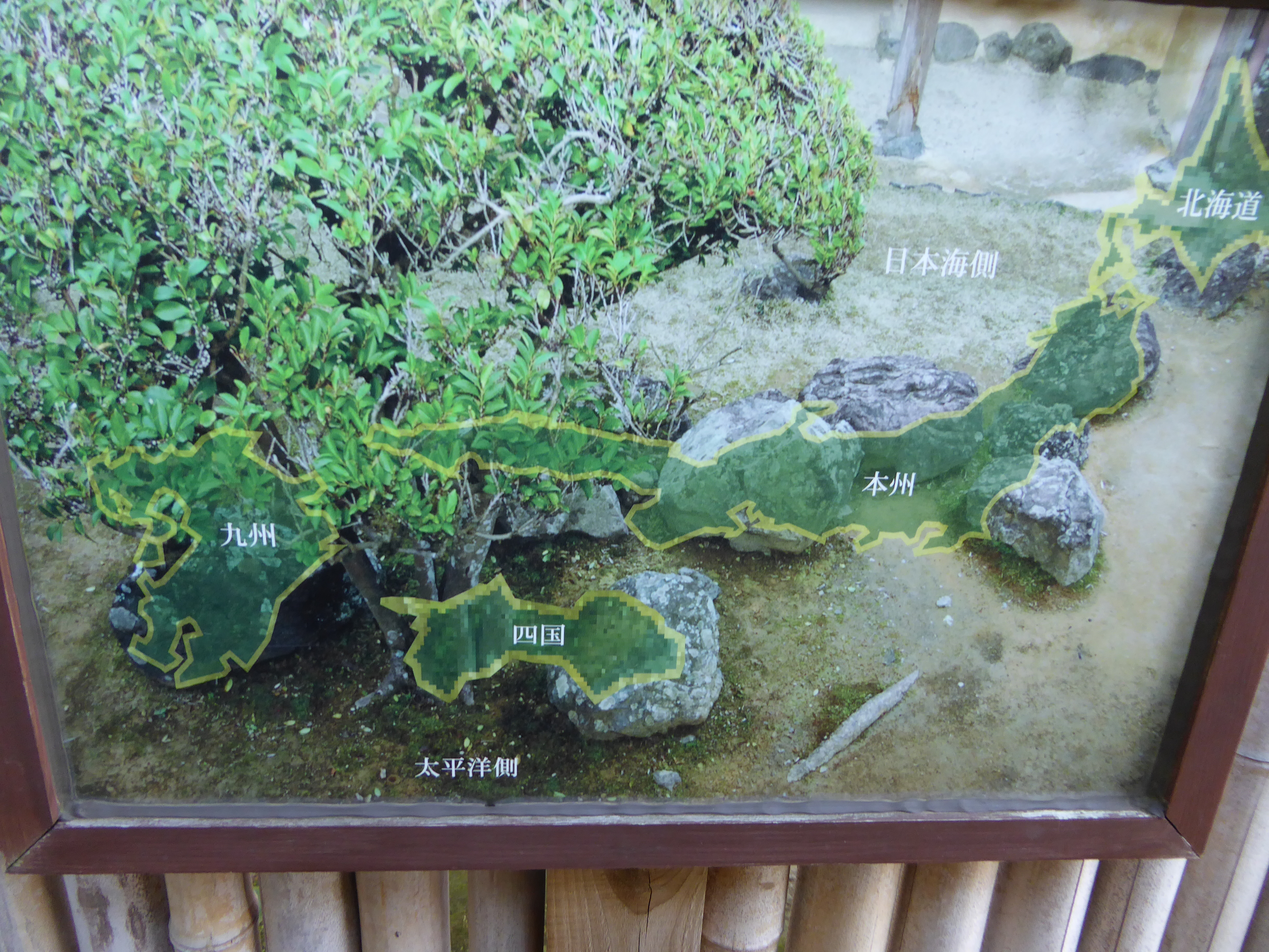 P1010566.JPG