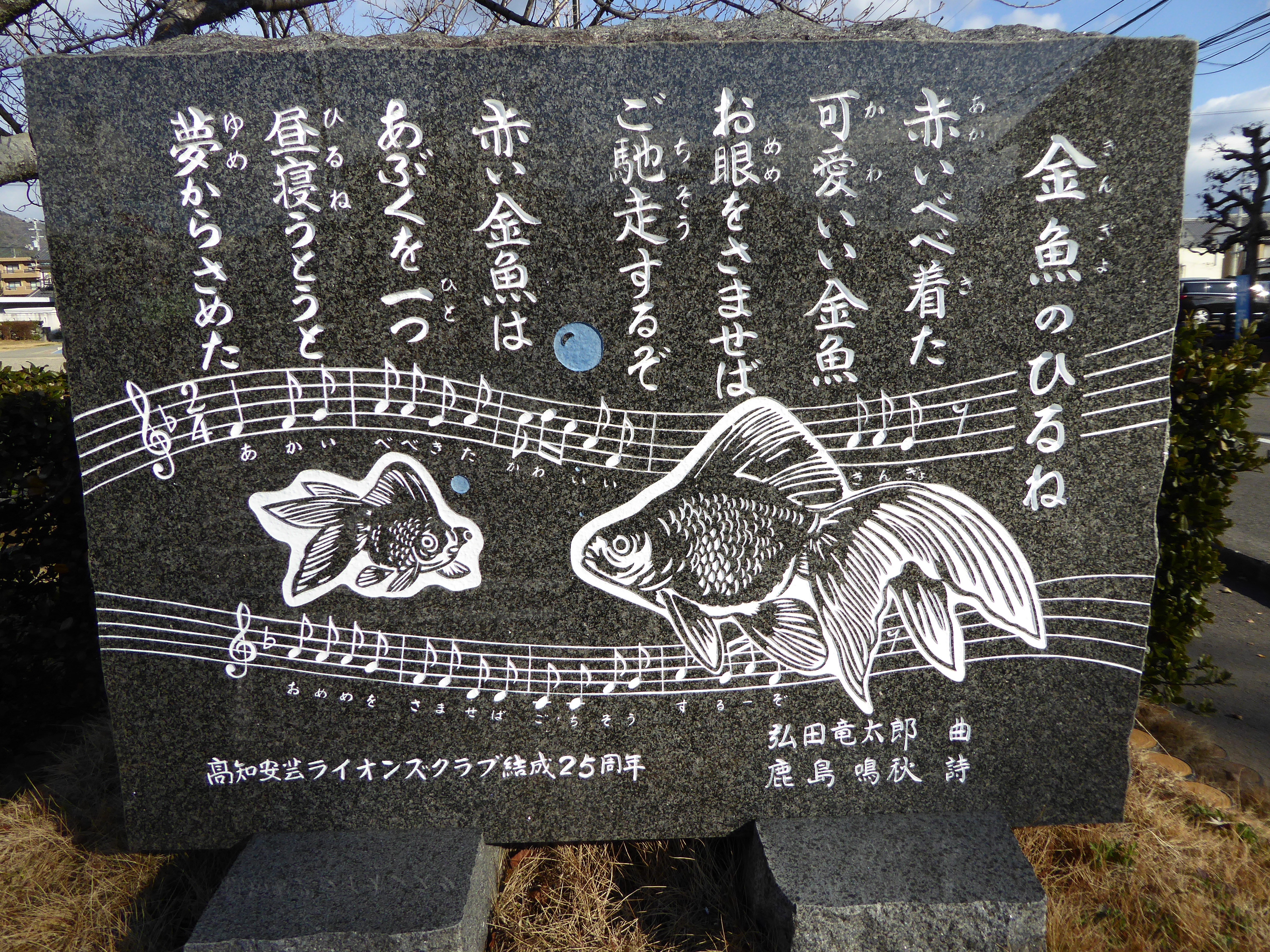 P1010576.JPG
