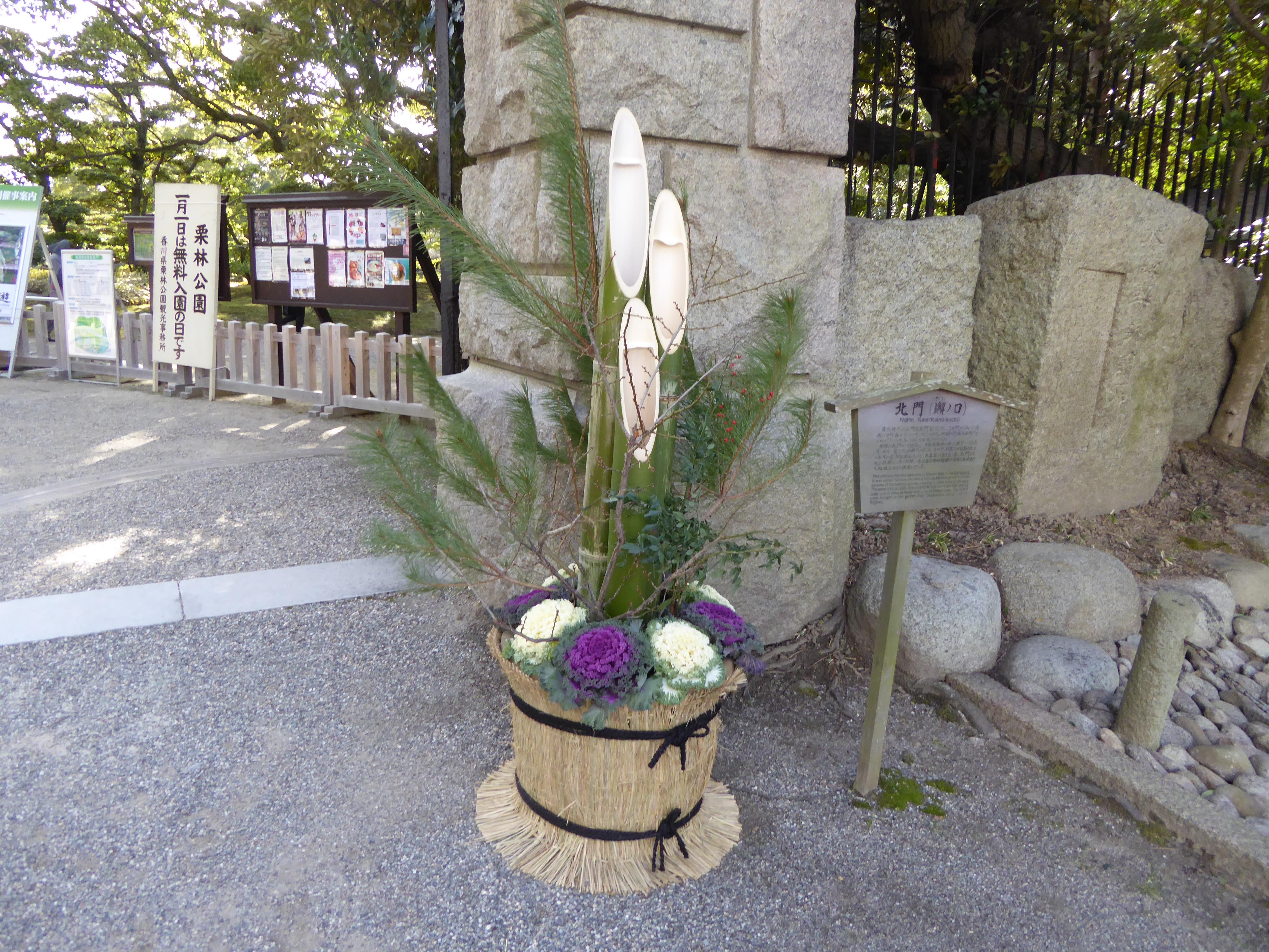 P1010603.JPG