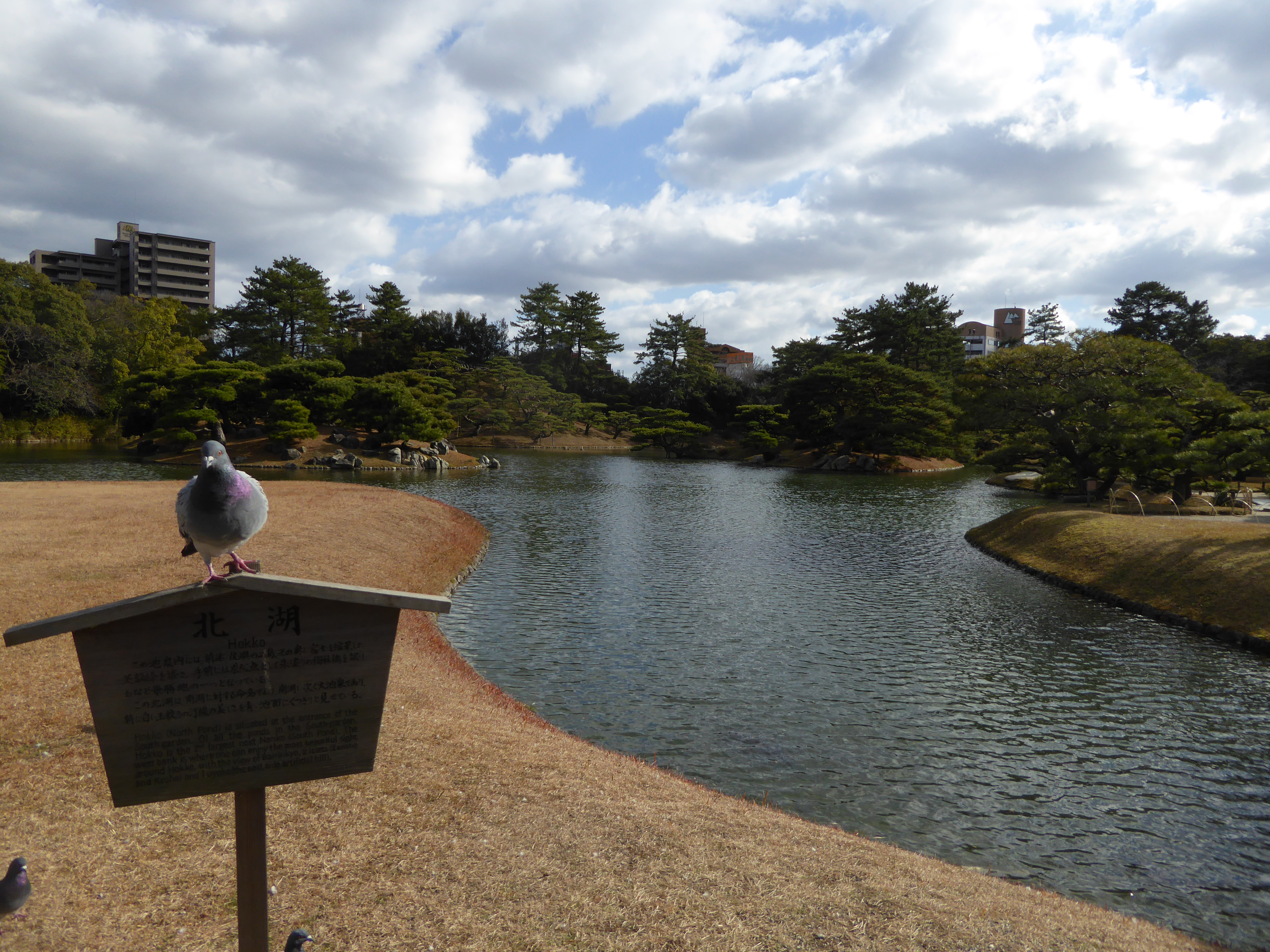 P1010609.JPG