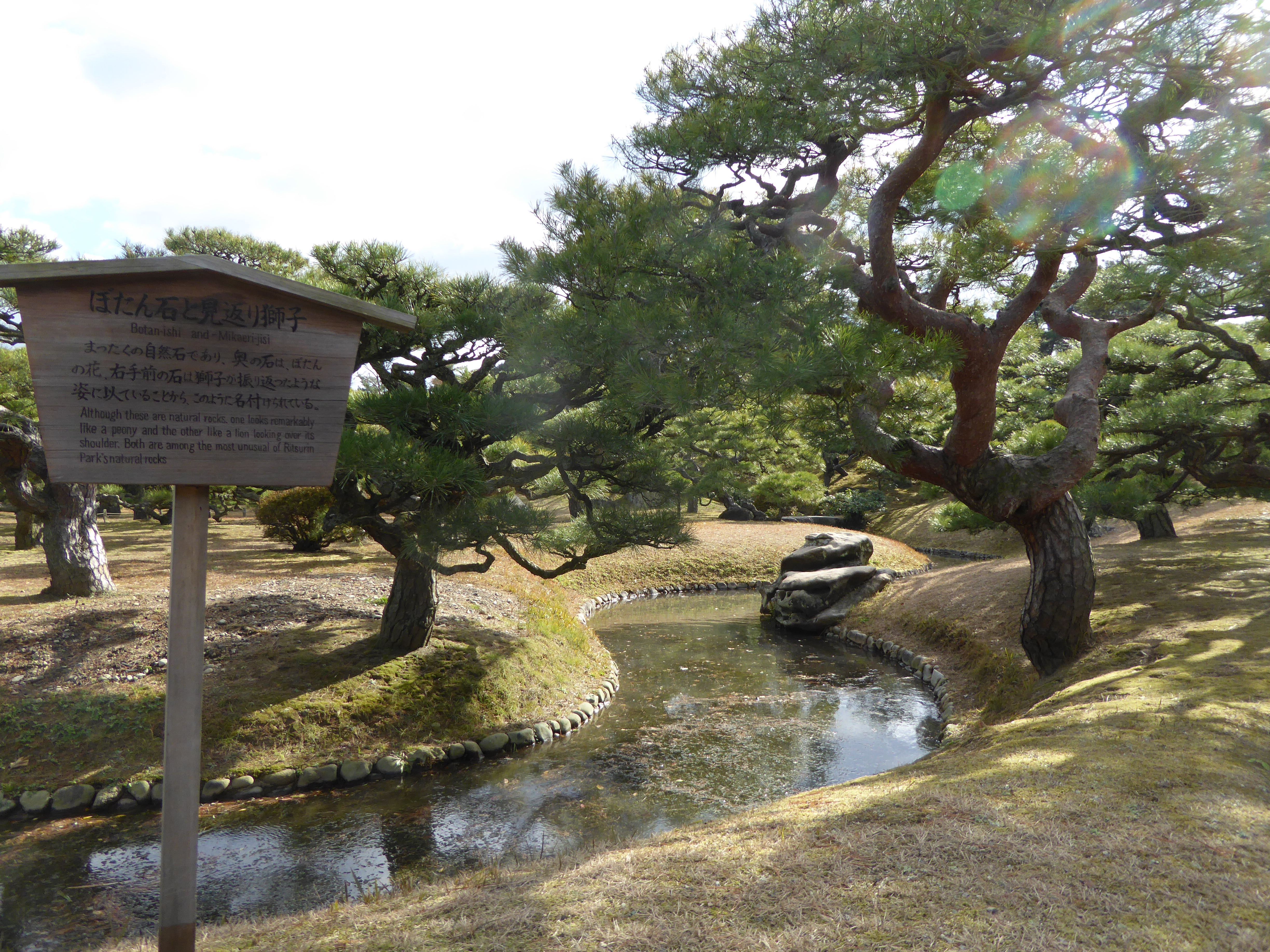 P1010610.JPG