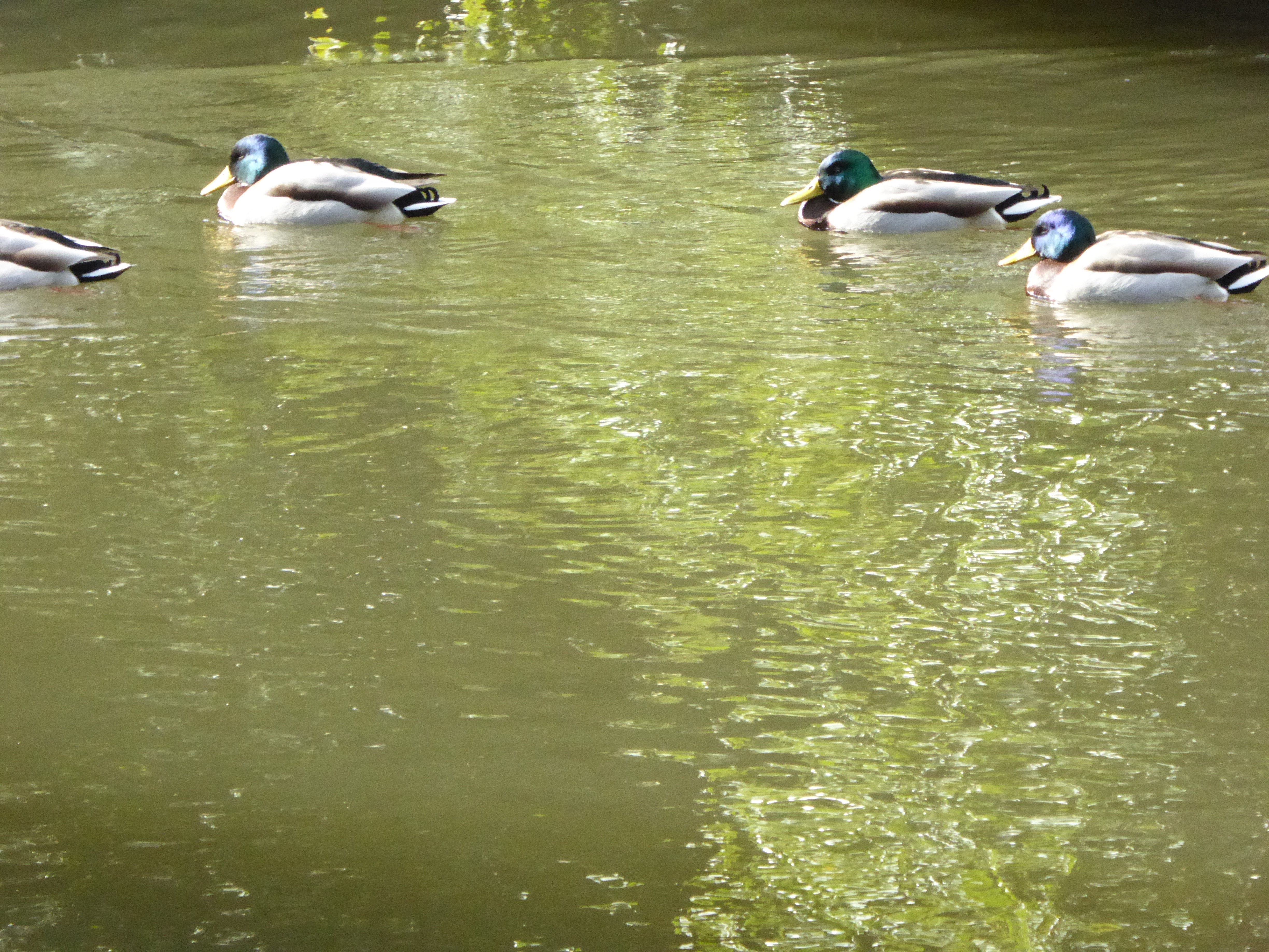 P1010624.JPG