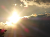 img0006.jpg