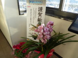 img0019.jpg