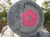 img0022.jpg
