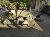 img0026.jpg