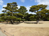 img0061.jpg