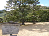 img0062.jpg