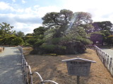img0063.jpg