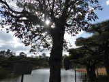 img0064.jpg
