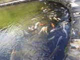 img0074.jpg