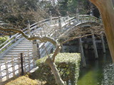 img0076.jpg