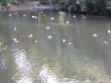 img0079.jpg
