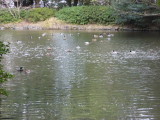 img0081.jpg