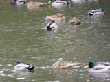 img0082.jpg