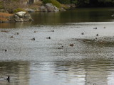 img0083.jpg