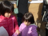 img0011.jpg