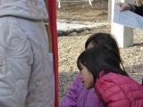 img0019.jpg