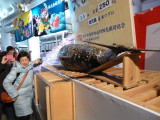 img0007.jpg