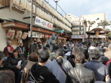 img0009.jpg