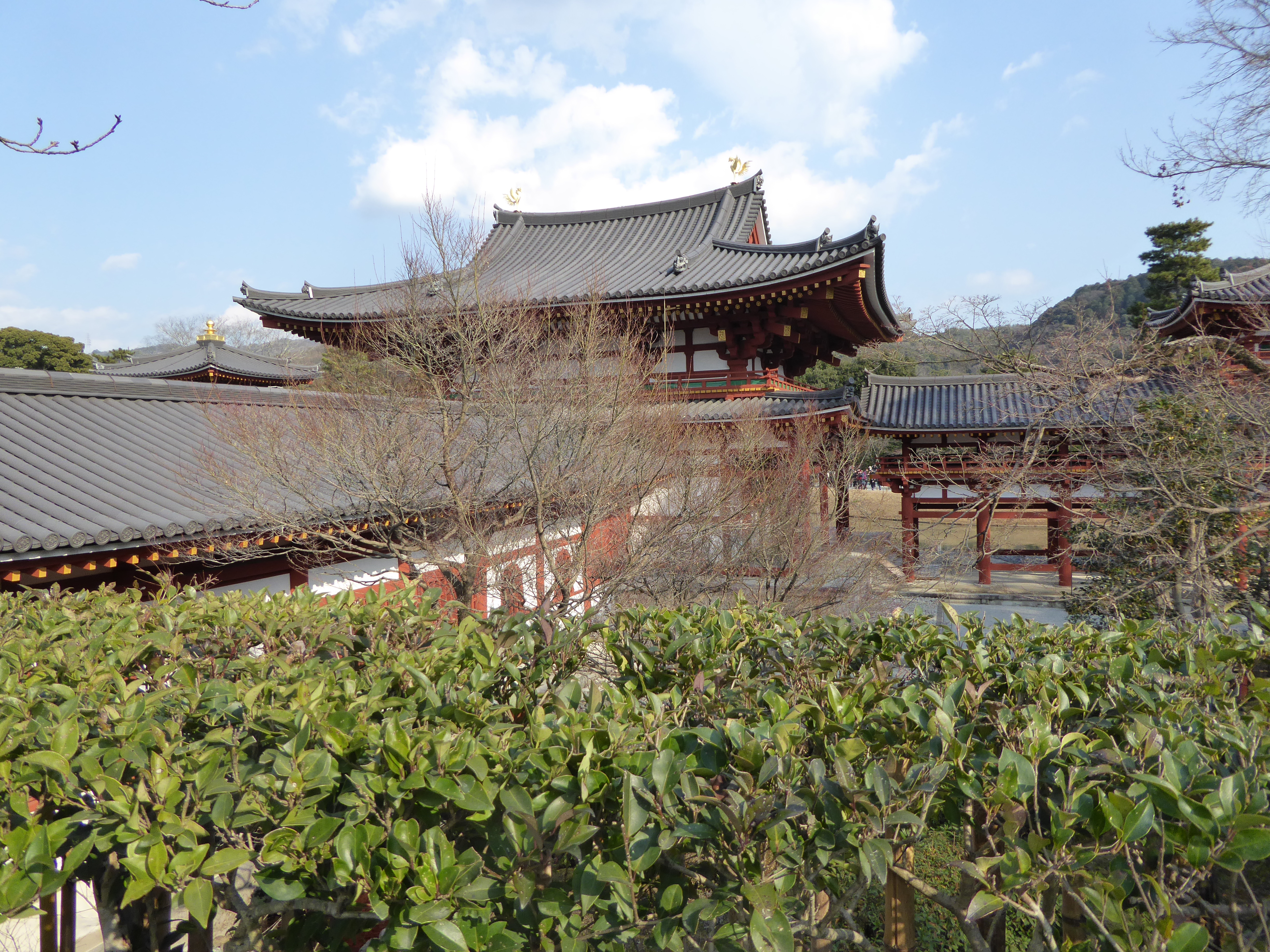 P1010716.JPG