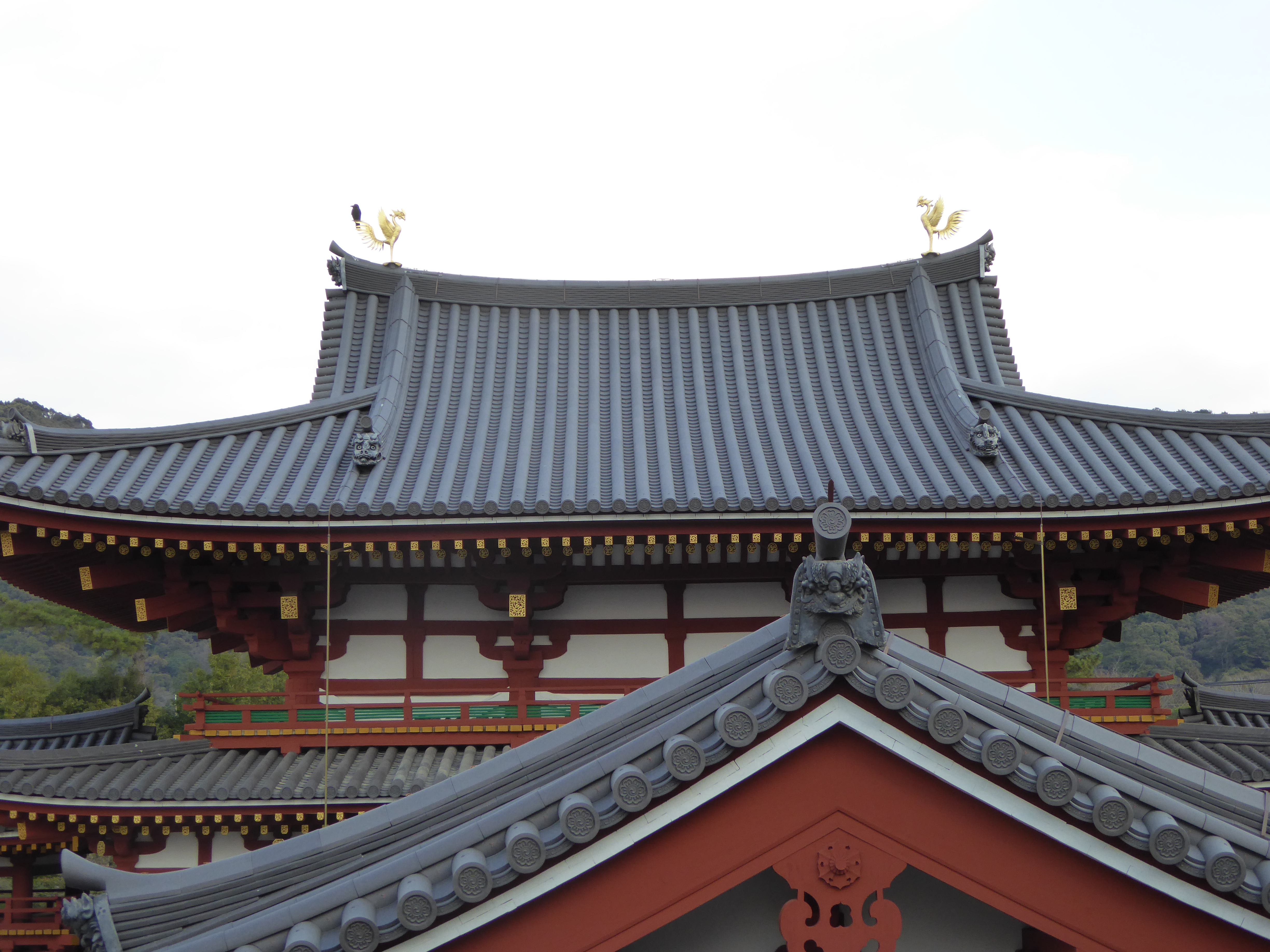 P1010728.JPG