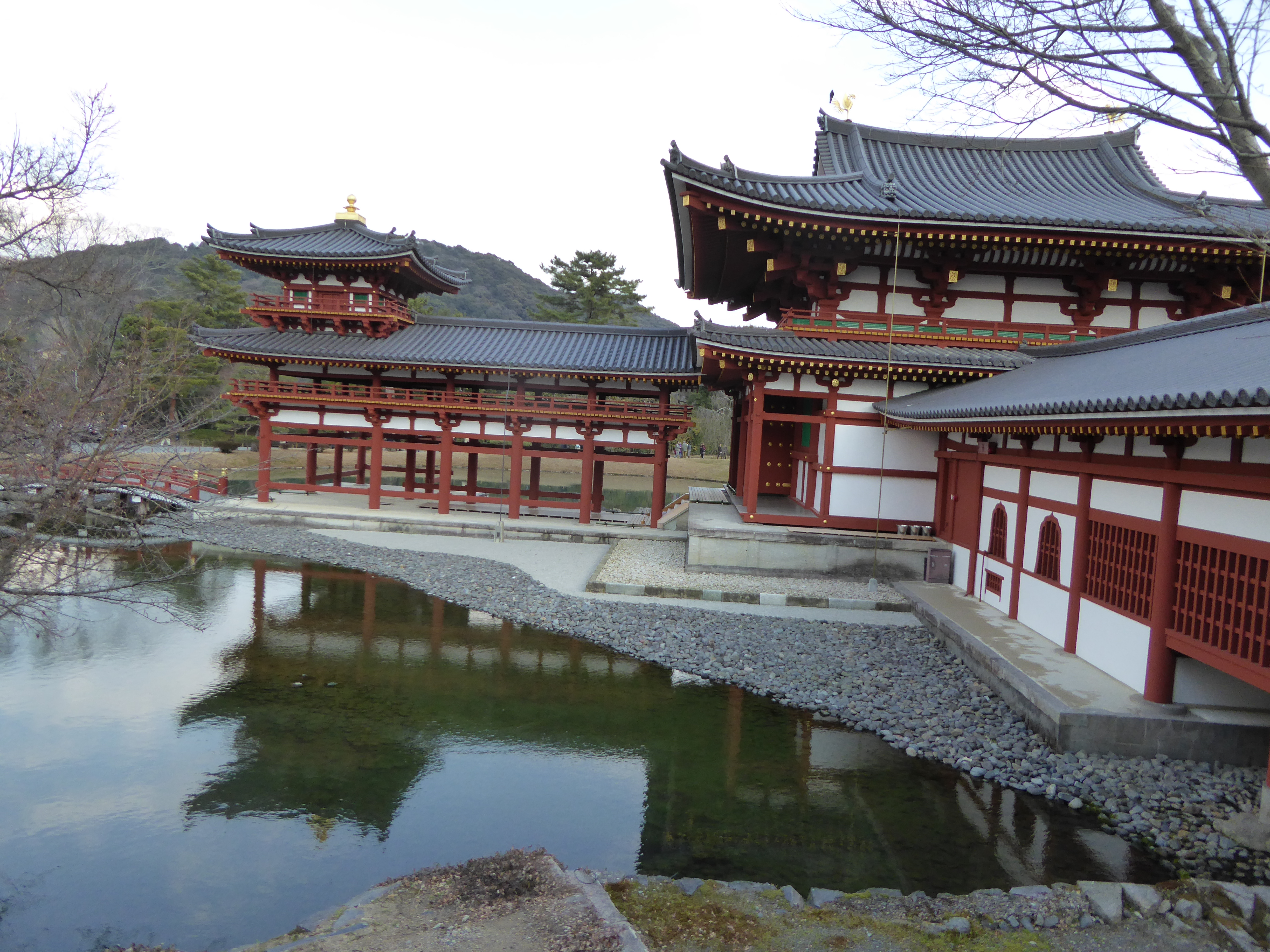 P1010729.JPG