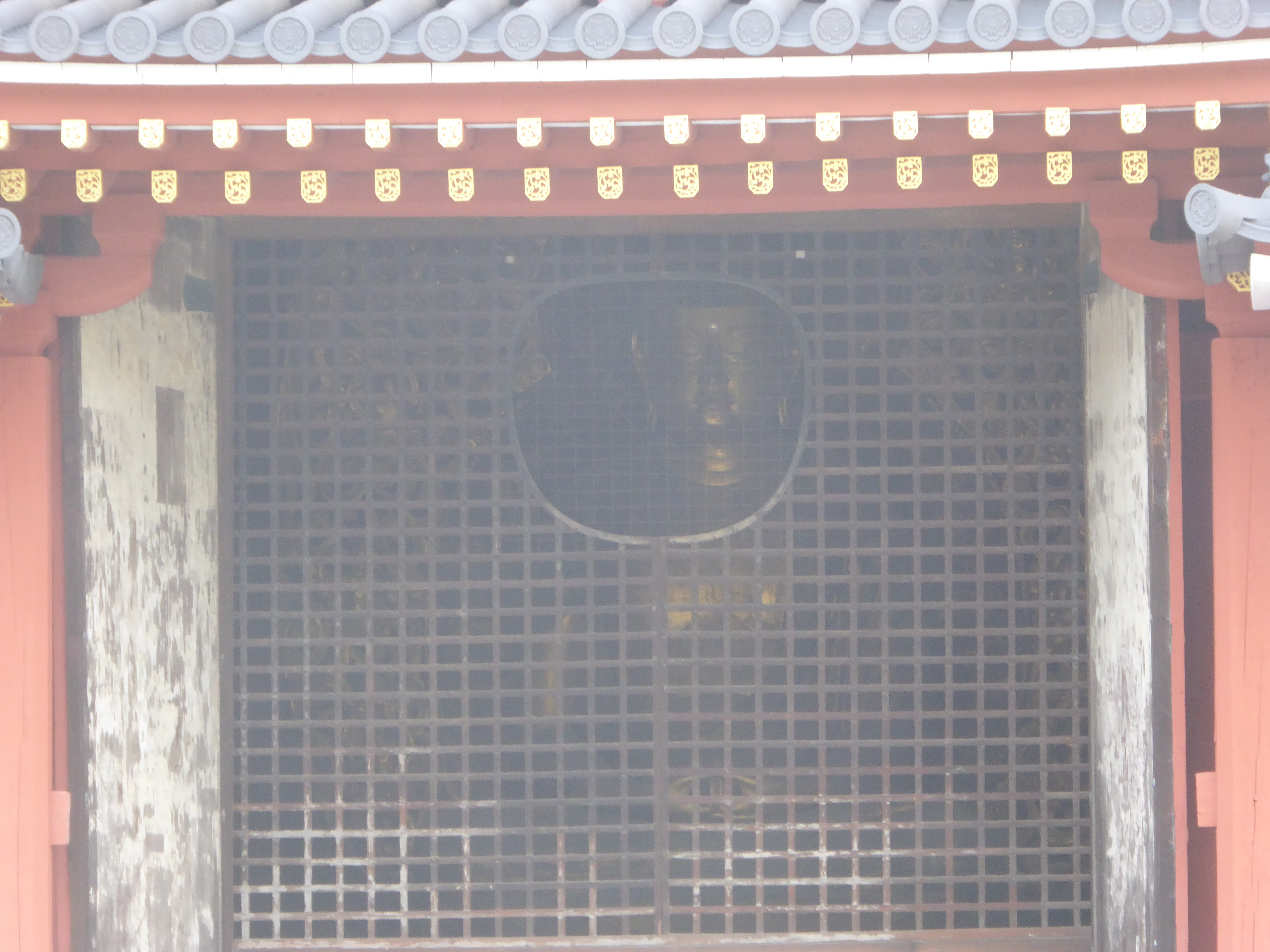 P1010737.JPG