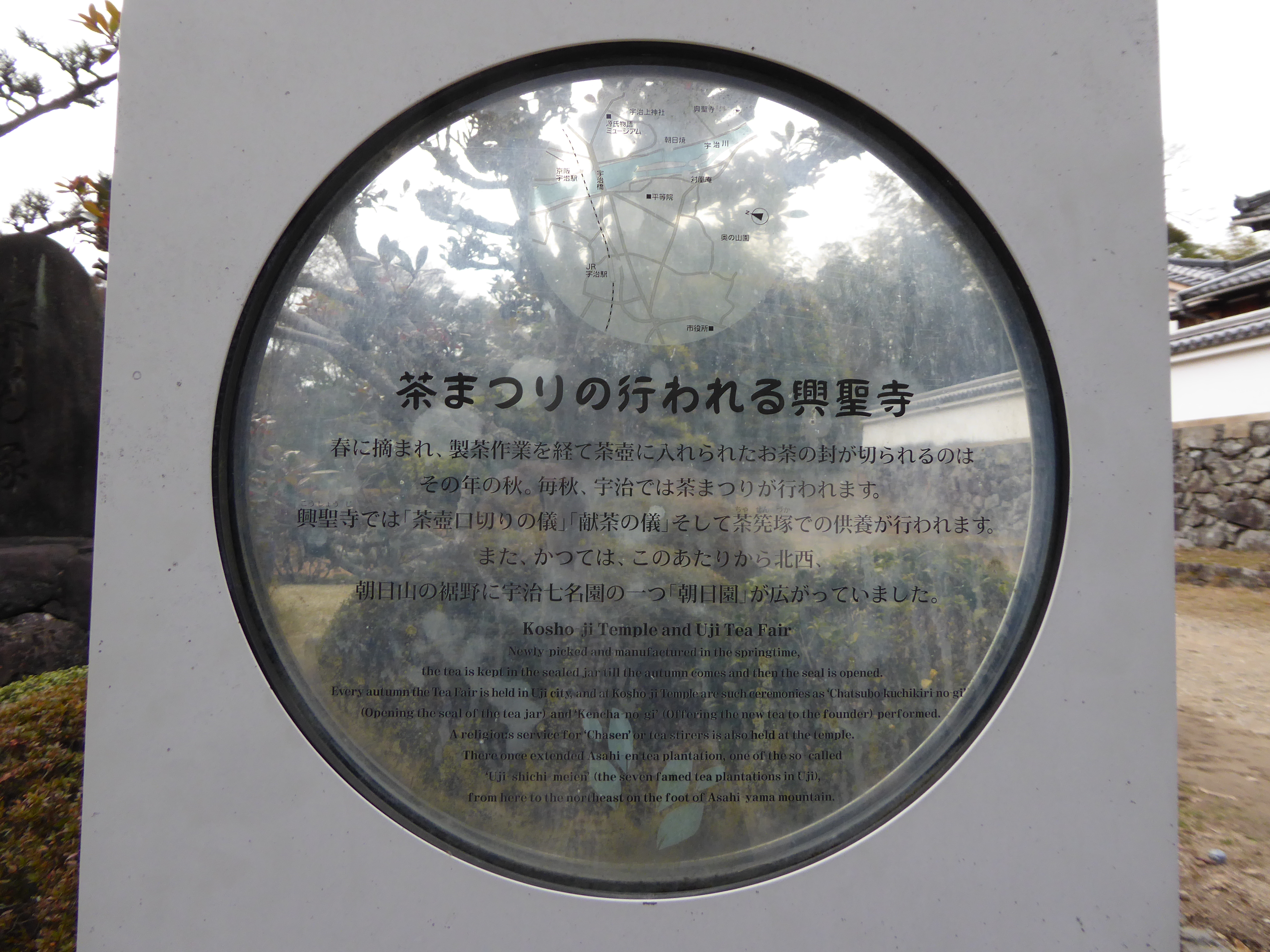 P1010768.JPG