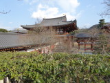 img0003.jpg