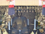img0007.jpg