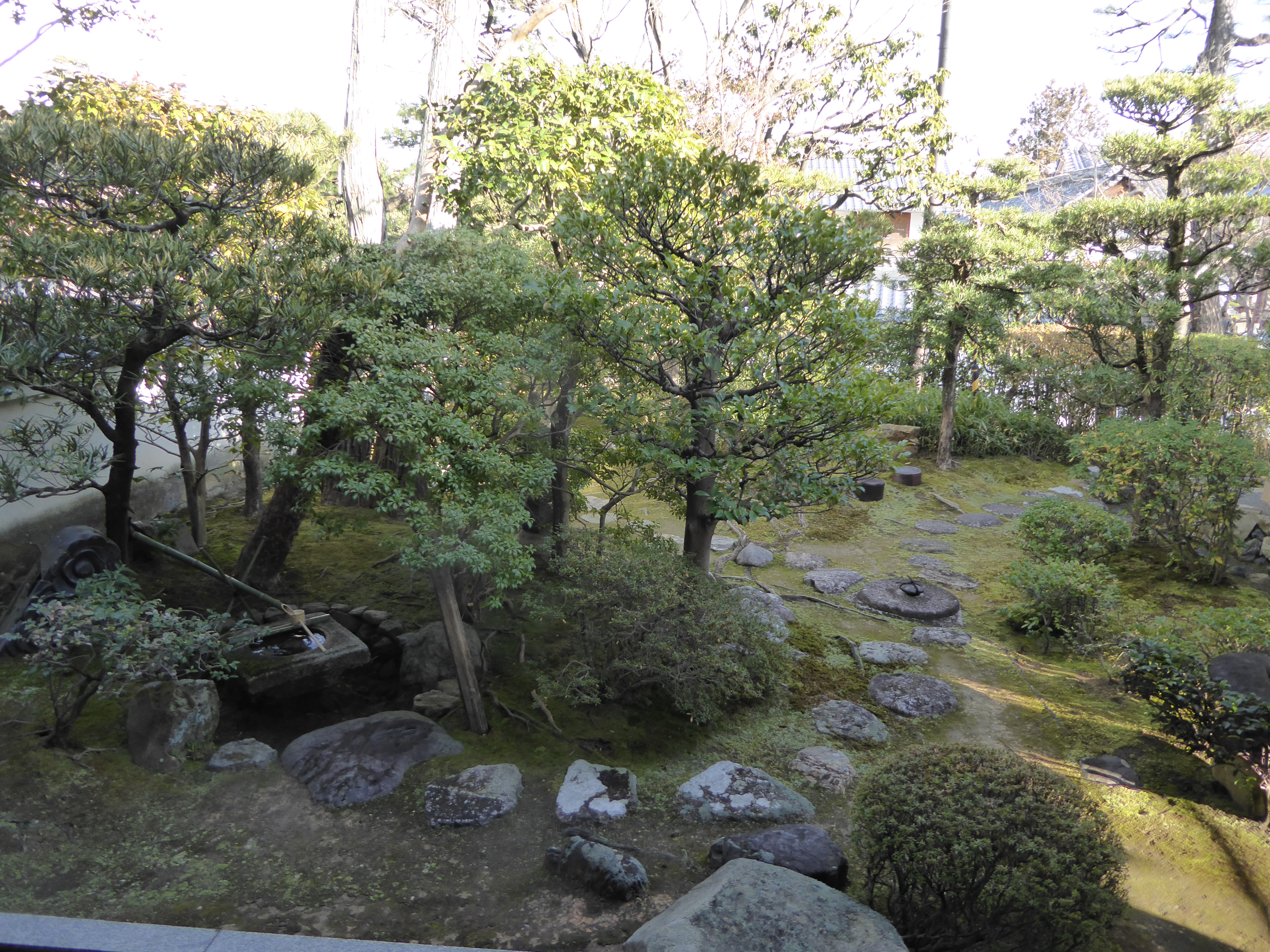 P1010788.JPG