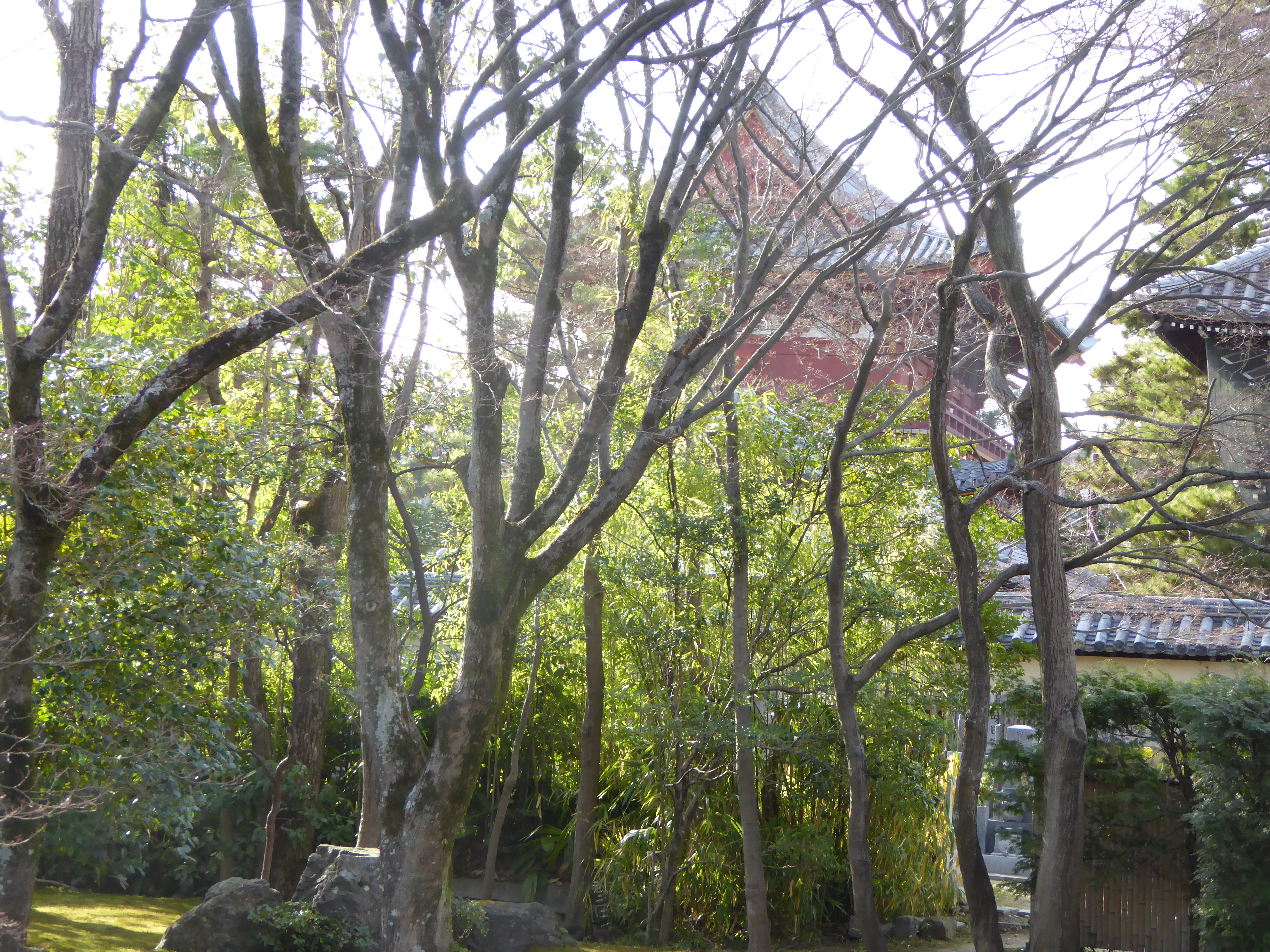 P1010789.JPG