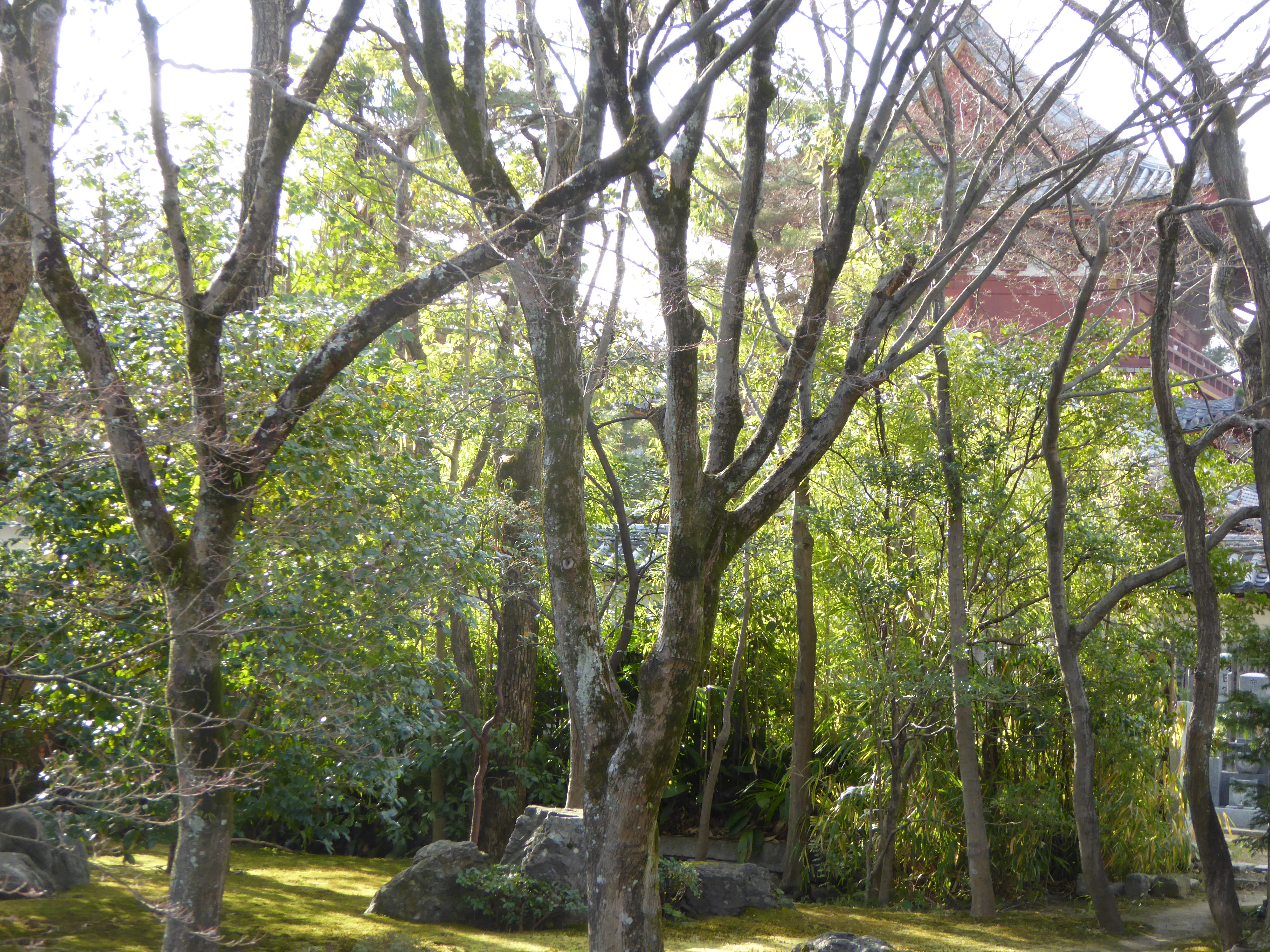 P1010790.JPG