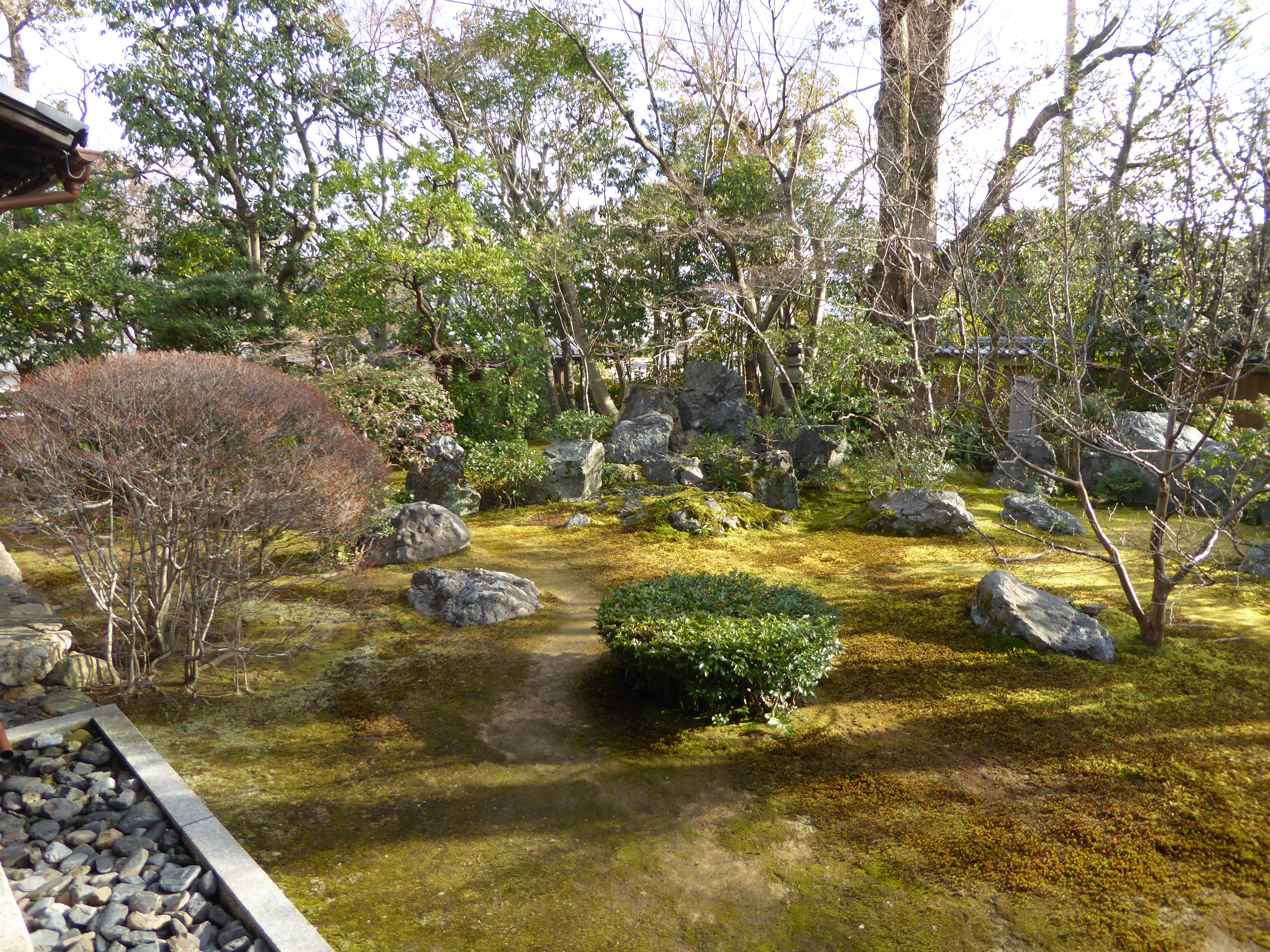 P1010791.JPG