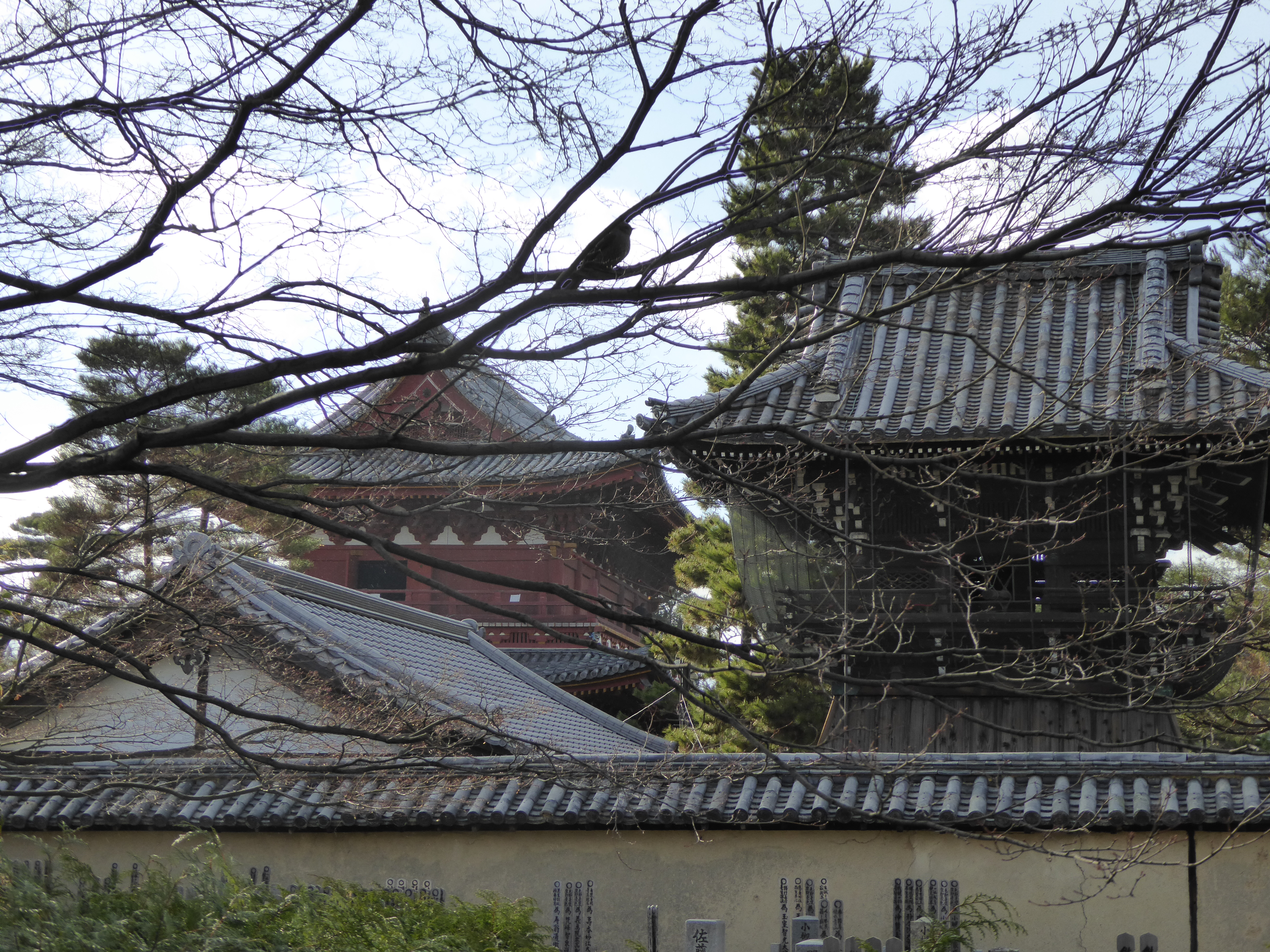 P1010793.JPG