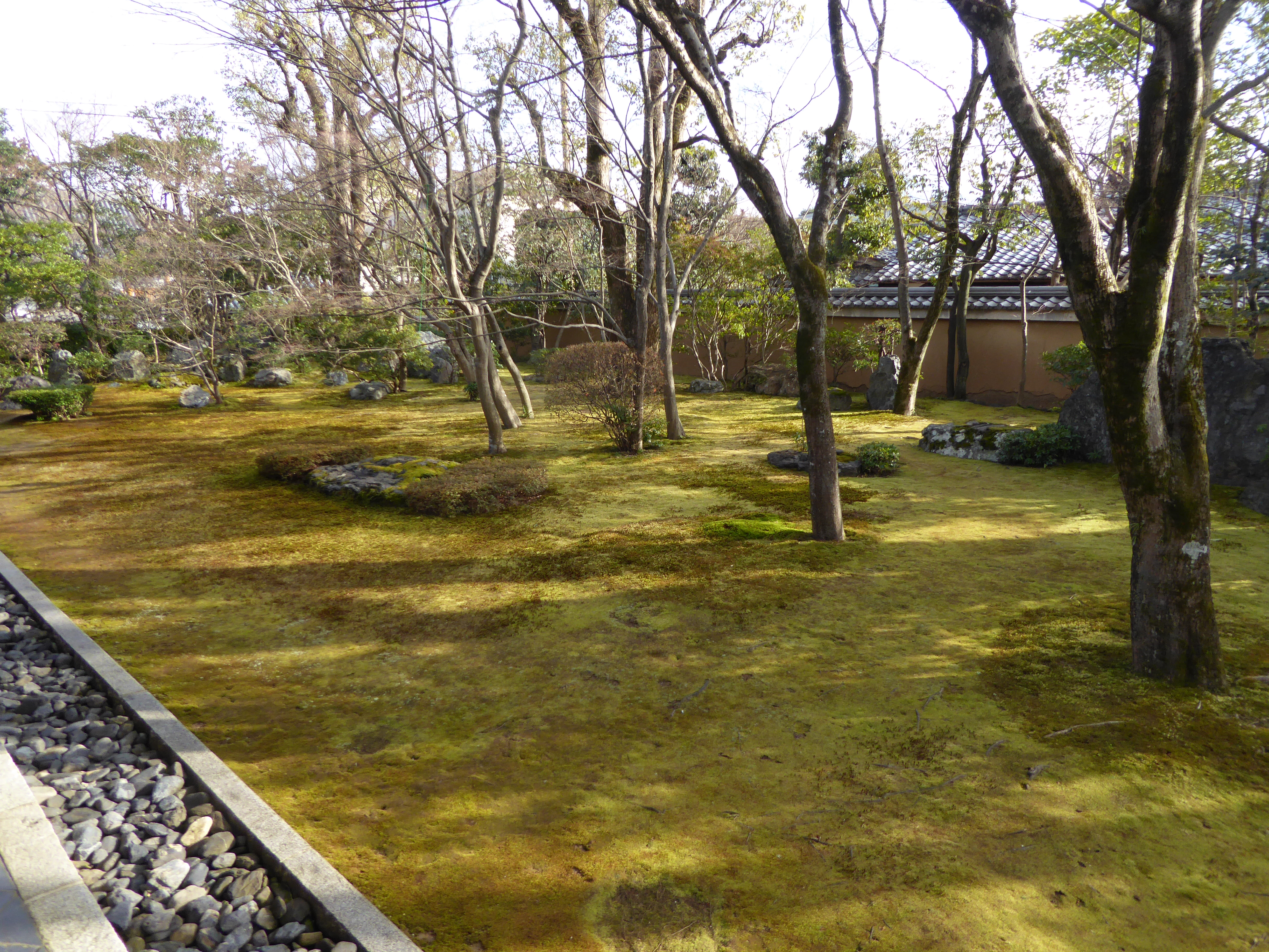 P1010795.JPG