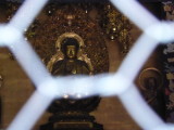 img0010.jpg