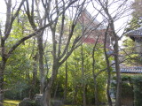 img0018.jpg