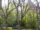 img0019.jpg