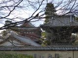 img0022.jpg
