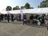 img0004.jpg