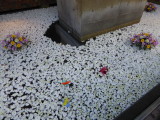 img0021.jpg