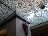 img0024.jpg